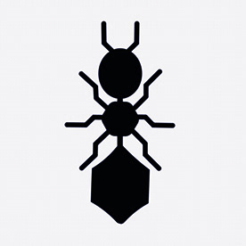 Behance profile picture for @Ants