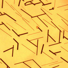 Umer munir :: Behance