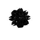 Behance profile picture for @Frosty