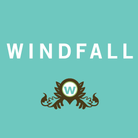 Behance profile picture for @windfall