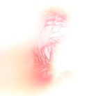 Behance profile picture for @Astoria