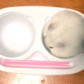 determined_Aurora9342