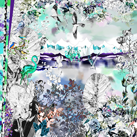 Zisser Studio in Stockholm, Sweden :: Behance