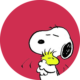 David26224806zcjd