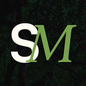 Studio Mantis