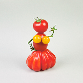 Lisa Rienermann - Illustrator, Photographer, Art Director, Author in ...
