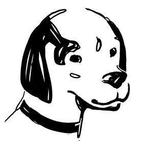 Behance profile picture for @bronco