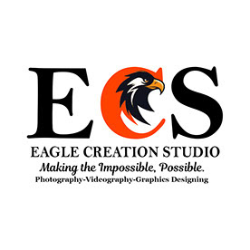 Eagle Creation Studio in India :: Behance