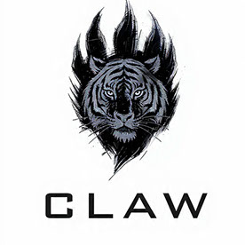 Claw Studio - Transformamos sua ideia em vídeo💡 in Brazil :: Behance