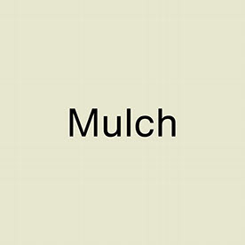 Behance profile picture for @mulch