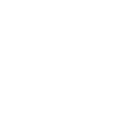 Behance profile picture for @thehun