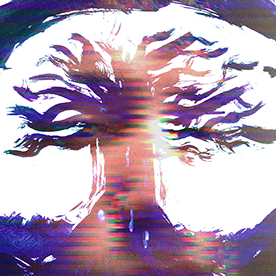 Behance profile picture for @willy