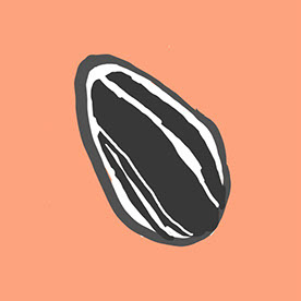 Behance profile picture for @lang
