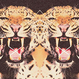 Behance profile picture for @eXploited