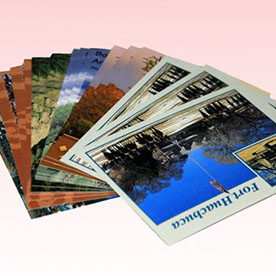 Jessica Guo's profile