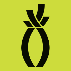Behance profile picture for @pineapple
