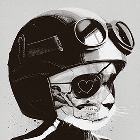 蚂里奥 MALIO :: Behance