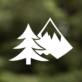 Forrest v1