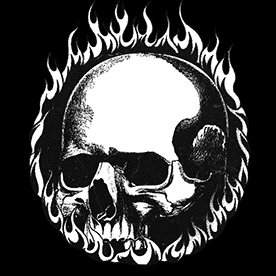 Behance profile picture for @basque