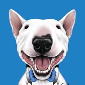 Behance profile picture for @bulls