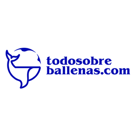 Todo sobre Ballenas's profile
