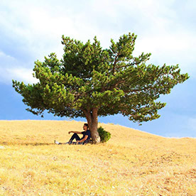 tekinozturk