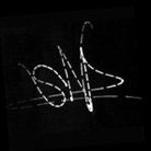 Behance profile picture for @snp