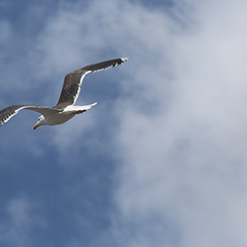LiamClearyPhotography