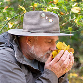 Waldbaden Exkursionen