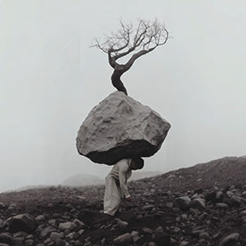 alexeyseverin