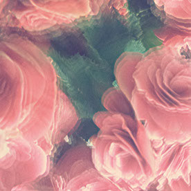 Gabissssssssssssssssss