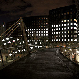 DelfinoMarinAmezquita