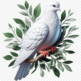 YOUNG_DOVE