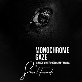 Shermil_Fernando7687