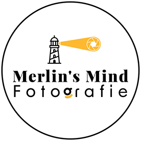 Merlins mind
